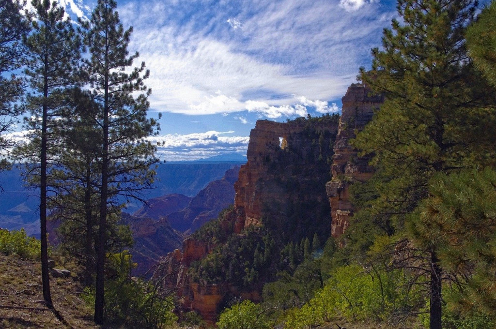 Grand Canyon North Rim